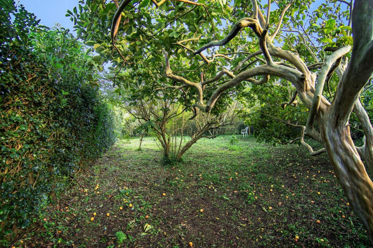 Villa Casa Com Quinta Tradicional à Pico da Pedra Extérieur photo